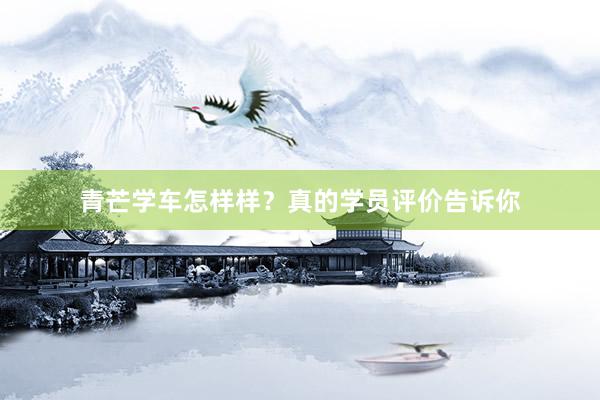 青芒学车怎样样？真的学员评价告诉你